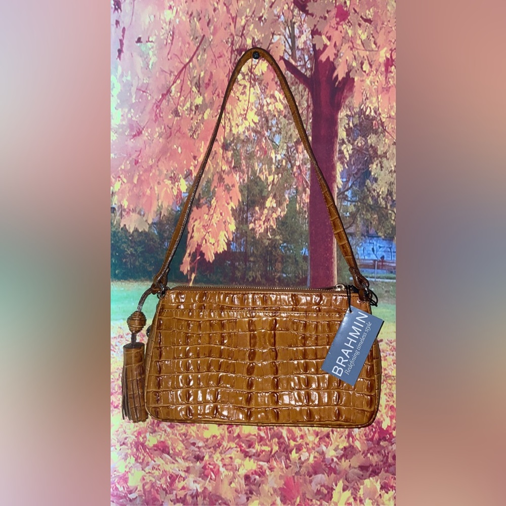 Brahmin purse